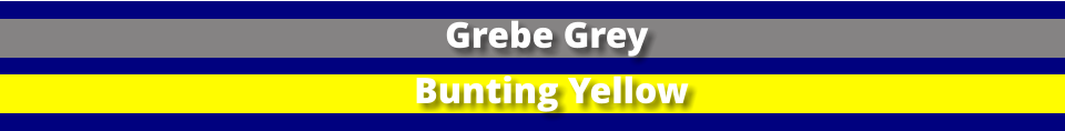 Grebe Grey Bunting Yellow